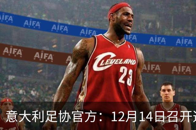 意大利足协官方：12月14日召开选举大会，会上将选出足协主席